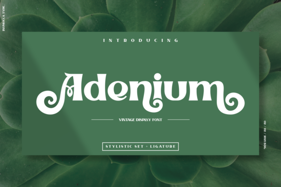 Adenium: The Display Font That Brings Personality to Branding